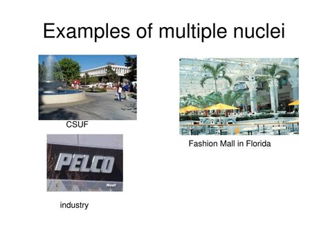 PPT - Multiple Nuclei Model Ch 13. PowerPoint Presentation, free download - ID:757176