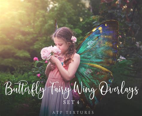 20 Png Digital BUTTERFLY FAIRY WING Overlays Set 4 | Butterfly fairy ...
