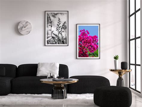 Pink Bougainvillea Wall Art – One Thousand Blooms