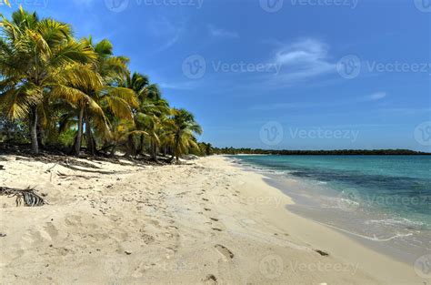 Beach along Isla Catalina, Dominican Republic 16195762 Stock Photo at ...