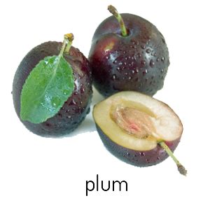 Plum PNG Image - PNG All