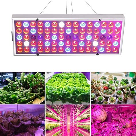 800W/1200W LED Grow Lights for Indoor & Outdoor Plants, Plant Growth Lamp Panel Hydroponic Full ...