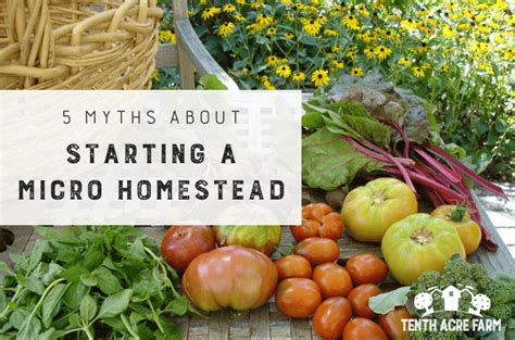 5 Myths about Starting a Micro Homestead - Tenth Acre Farm