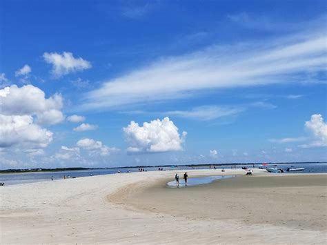 The Little Known Sand Dollar Island In North Carolina Is Great For Finding Loads Of Sand Dollars ...