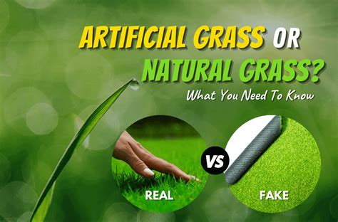 Natural Grass Vs Artificial Turf - ExperiGreen