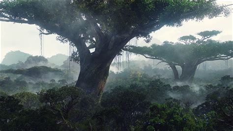 #Avatar #nature #Pandora #wood #1080P #wallpaper #hdwallpaper #desktop ...