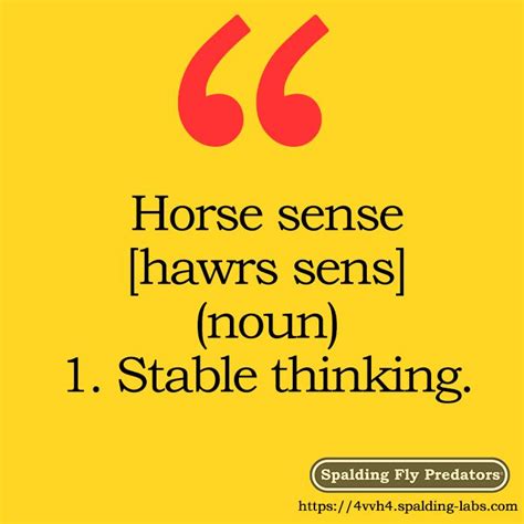 "Horse sense [haws sens] (Noun) 1. Stable thinking" http://spalding ...