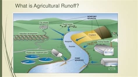 Agricultural Runoff