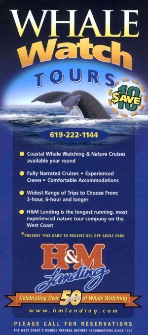 H & M Landing Whale Watching #Brochure #H&MLandingWhaleWatching | Whale ...