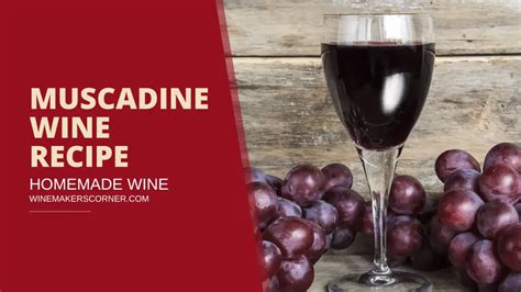 Muscadine Wine Recipe: A Step-by-Step Guide to Homemade Delight