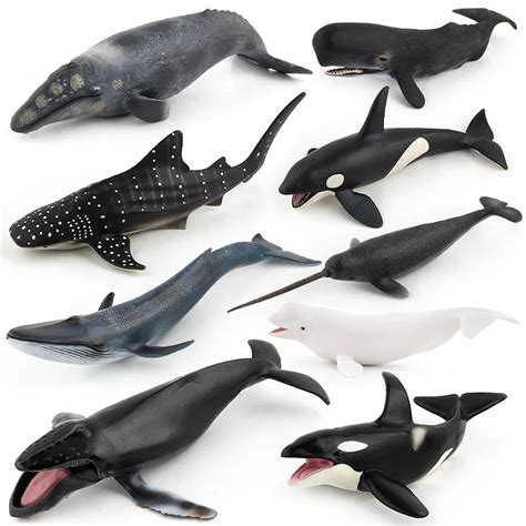 Simulation-Whale-Animal-Figure-Collectible-Toys-Ocean-Animal-Cognition ...