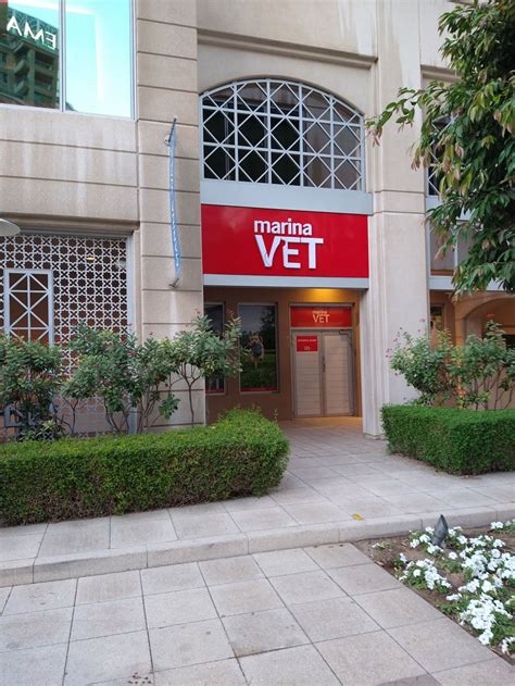 Your pets' new convenient local choice for veterinary care | Marina VET Clinic