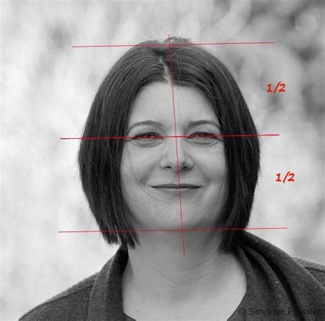 Portrait drawing : Basic proportions of the face - ARTiful: painting demos