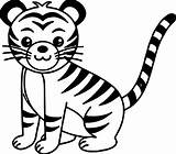 Coloring Tiger Pages Baby Cute Popular Sketch Page sketch template