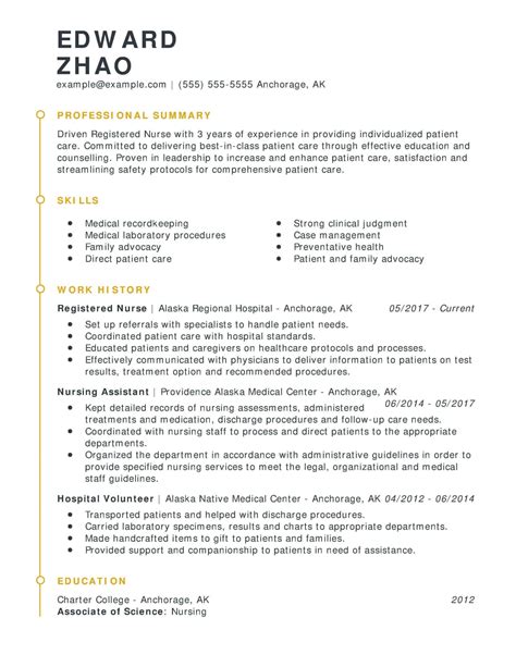 Professional Experience Resume Example | Free Letter Templates