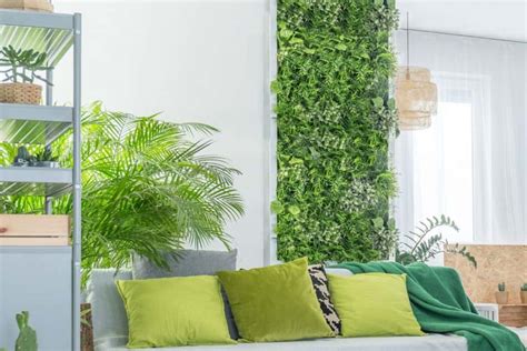 How To Grow Ivy Indoors On A Wall [Quick Guide For Beginners]