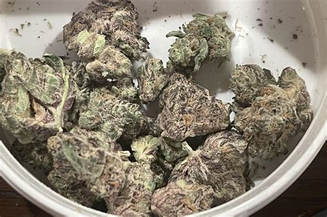 High Supply - Purple Plague : r/ILTrees