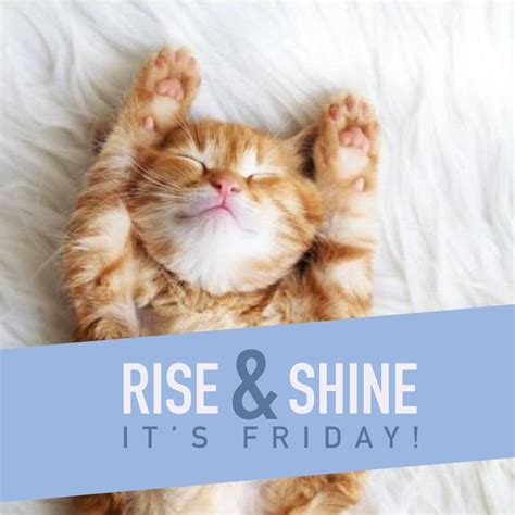 Friday? More like Fri-yay! #HappyFriday 😻