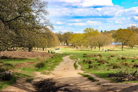 5 Magic Things to do in Richmond Park, London - Candace Abroad