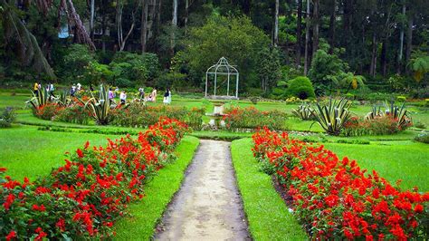 Nuwara Eliya Victoria Park Landscape - YouTube