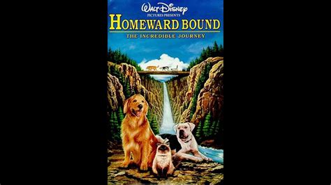 Homeward Bound Vhs Tape Free Delivery | www.metaltecnica.com.pe