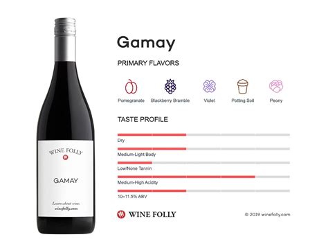 The Comprehensive Guide to Gamay | Wine Folly