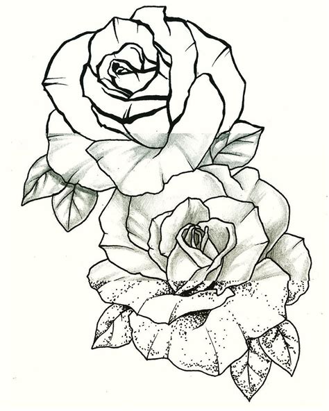 Traditional Rose Drawing at PaintingValley.com | Explore collection of Traditional Rose Drawing