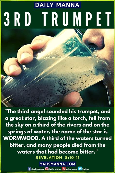 3RD TRUMPET: WORMWOOD WILL POISON 1/3 OF THE WATER SUPPLY ON EARTH - Yah's Manna | Revelation ...