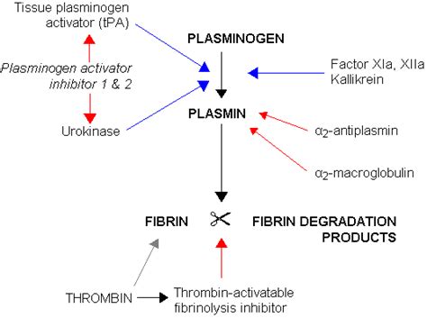 KT Evidence Bite: Fibrinolysis in Intermediate PE - CanadiEM