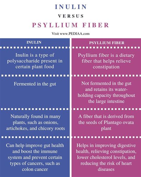 What is the Difference Between Inulin and Psyllium Fiber - Pediaa.Com