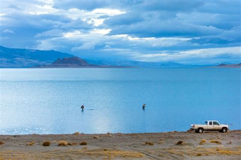 At Pyramid Lake, Nevada, You'll Find Some of the Biggest Fish in the West