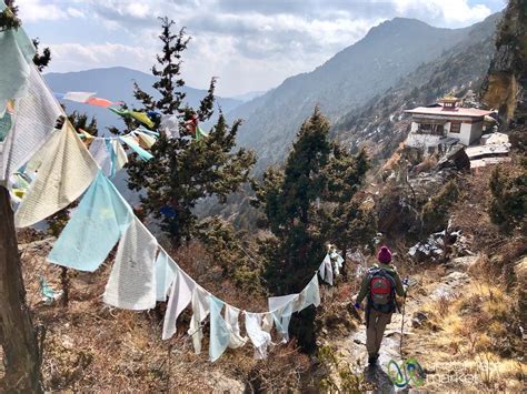 Bhutan Trekking: The Druk Path Trek and Trans Bhutan Trail – Uncornered ...