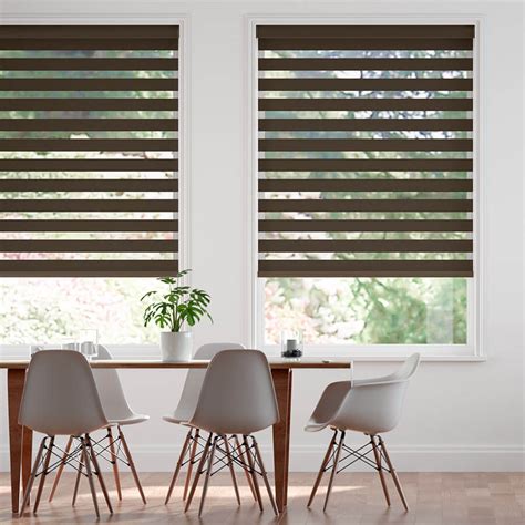 Traditional Zebra Light Filtering Dual Roller Shades | SelectBlinds.com