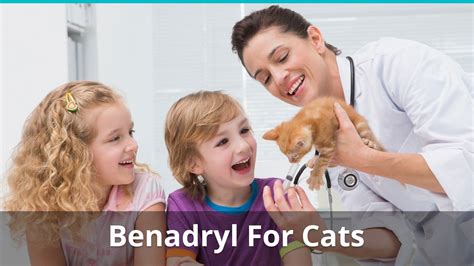 Benadryl For Cats Dosage | How Much Can You Give Them For Allergies?