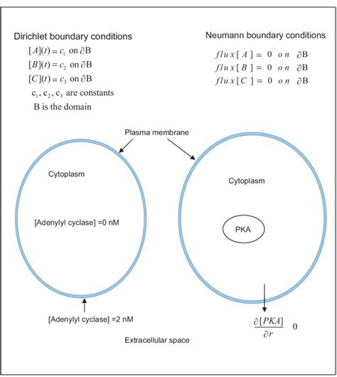 Boundary condition for PDEs. The Dirichlet boundary condition states... | Download Scientific ...