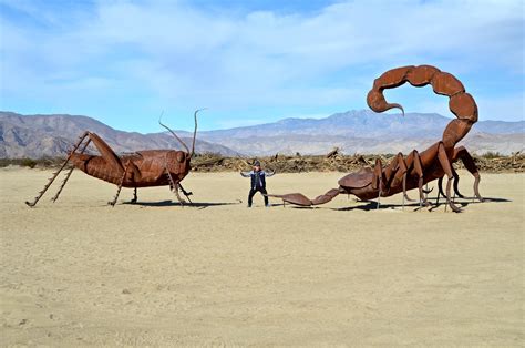 Anza Borrego Desert State Park Tours - Book Now | Expedia