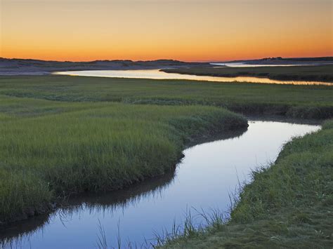 Salt Marsh at Sunrise, Sandwich, Cape Cod, Massachusetts | Landscape, Coastal marsh, Landscape ...