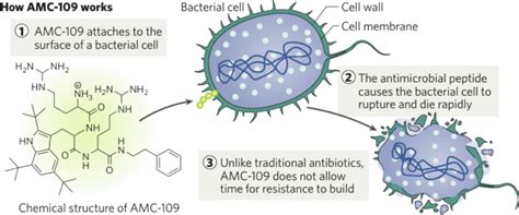 Coating medical devices to fight infections