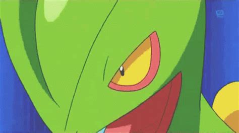 Sceptile Pokémon Sceptile GIF - Sceptile Pokémon Sceptile Leaf Blade - Discover & Share GIFs