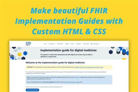 Customize Your FHIR Implementation Guide on Simplifier.net