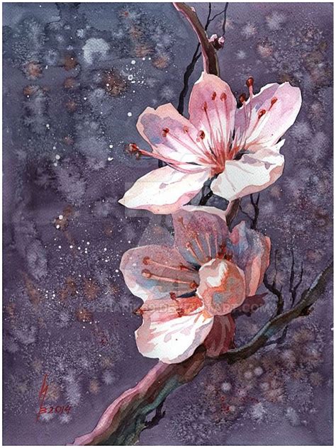 sakura | Dipinti floreali, Pittura di fiori, Acquerello floreale