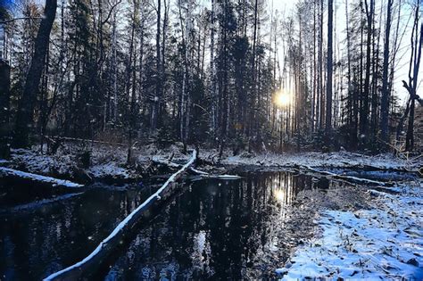 Premium Photo | Winter in the russian village / winter landscape ...