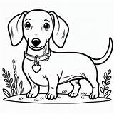 Cute Little Dachshund coloring page  Download Print Or Color Online sketch template