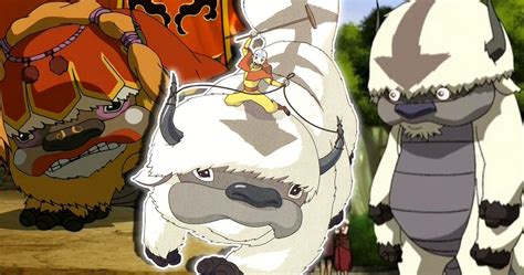 20 Things You Didn’t Know About Appa From Avatar: The Last Airbender