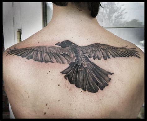 Big bird | Tattoos, Birds tattoo, Big bird