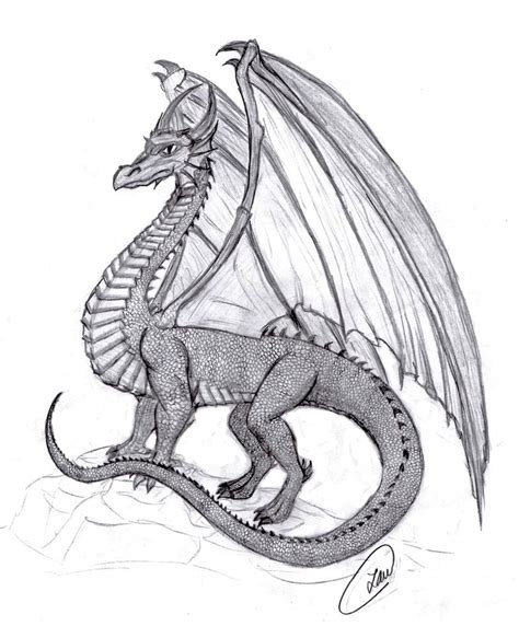 Medieval Dragon by lena-bitty on DeviantArt