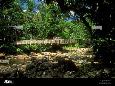 wooden suspension bridge, footbridge, Guadeloupe National Park, Parc ...