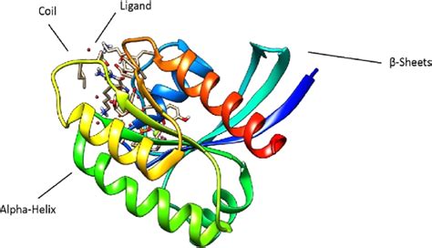 Three-dimensional crystal structure of the KRAS protein representing ...