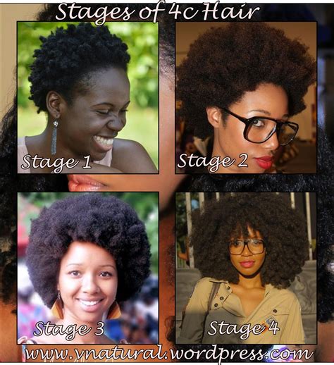 Natural Hair Inspiration: The Stages of 4C Hair | Natural hair ...