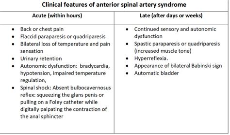 [Figure, Table-1: Clinical features of anterior spinal artery syndrome] - StatPearls - NCBI ...